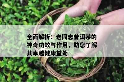 全面解析：老同志普洱茶的神奇功效与作用，助您了解其卓越健康益处