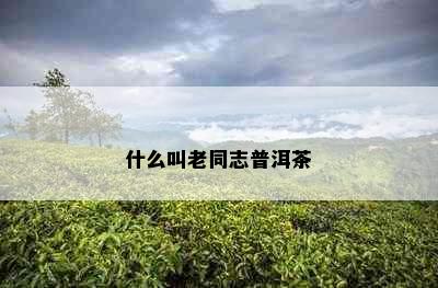 什么叫老同志普洱茶