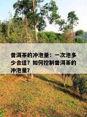 普洱茶的冲泡量：一次泡多少合适？如何控制普洱茶的冲泡量？