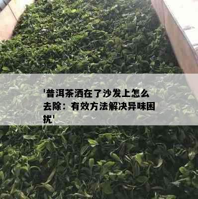 '普洱茶洒在了沙发上怎么去除：有效方法解决异味困扰'