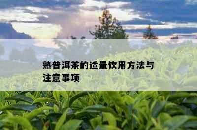 熟普洱茶的适量饮用方法与注意事项