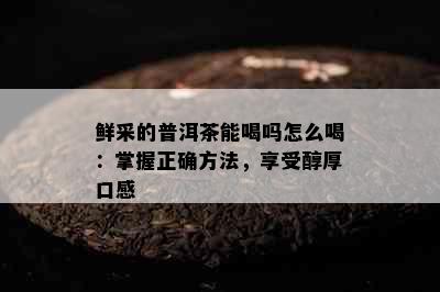 鲜采的普洱茶能喝吗怎么喝：掌握正确方法，享受醇厚口感