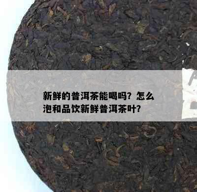 新鲜的普洱茶能喝吗？怎么泡和品饮新鲜普洱茶叶？