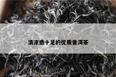 清凉感十足的优质普洱茶