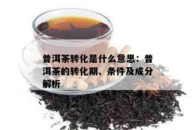 普洱茶转化是什么意思：普洱茶的转化期、条件及成分解析