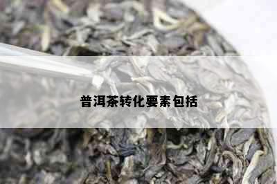 普洱茶转化要素包括