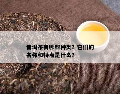 普洱茶有哪些种类？它们的名称和特点是什么？