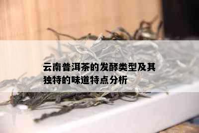 云南普洱茶的发酵类型及其独特的味道特点分析