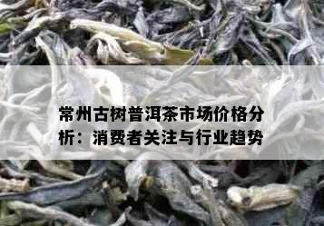 常州古树普洱茶市场价格分析：消费者关注与行业趋势