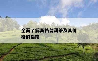 全面了解高档普洱茶及其价格的指南