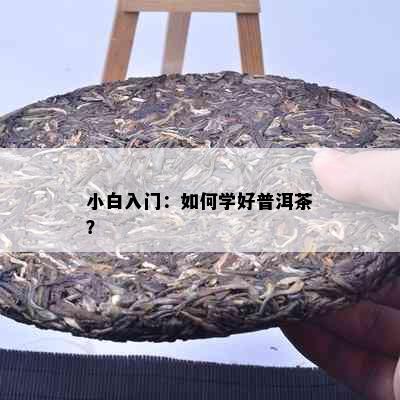 小白入门：如何学好普洱茶？