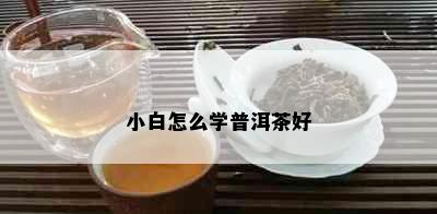 小白怎么学普洱茶好