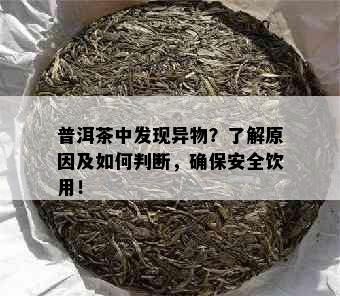 普洱茶中发现异物？了解原因及如何判断，确保安全饮用！