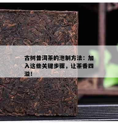 古树普洱茶的泡制方法：加入这些关键步骤，让茶香四溢！