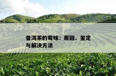 普洱茶的霉味：原因、鉴定与解决方法