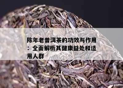 陈年老普洱茶的功效与作用：全面解析其健康益处和适用人群