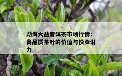 勐海大益普洱茶市场行情：高品质茶叶的价值与投资潜力