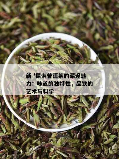 新 '探索普洱茶的深邃魅力：味道的独特性，品饮的艺术与科学'