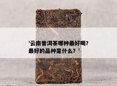 '云南普洱茶哪种更好喝？更好的品种是什么？'