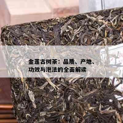 金莲古树茶：品质、产地、功效与泡法的全面解读