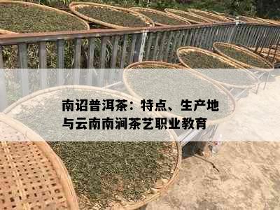 南诏普洱茶：特点、生产地与云南南涧茶艺职业教育