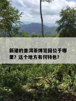 新建的普洱茶博览园位于哪里？这个地方有何特色？