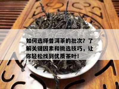 如何选择普洱茶的批次？了解关键因素和挑选技巧，让你轻松找到优质茶叶！