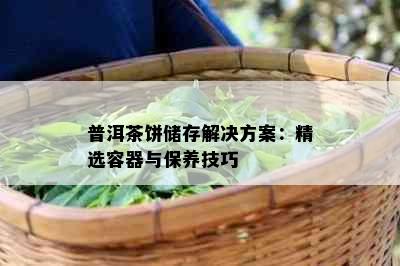 普洱茶饼储存解决方案：精选容器与保养技巧