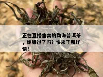 正在直播售卖的勐海普洱茶，你错过了吗？快来了解详情！