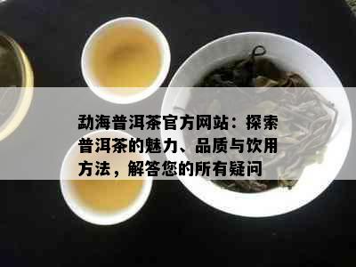 勐海普洱茶官方网站：探索普洱茶的魅力、品质与饮用方法，解答您的所有疑问