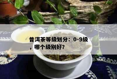 普洱茶等级划分：0-9级，哪个级别好？