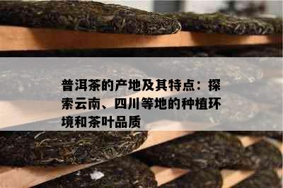 普洱茶的产地及其特点：探索云南、四川等地的种植环境和茶叶品质