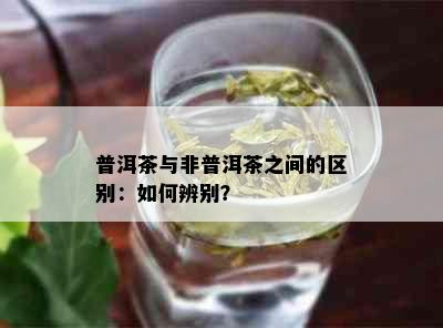 普洱茶与非普洱茶之间的区别：如何辨别？