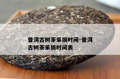 普洱古树茶采摘时间-普洱古树茶采摘时间表