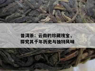 普洱茶：云南的珍藏瑰宝，探究其千年历史与独特风味