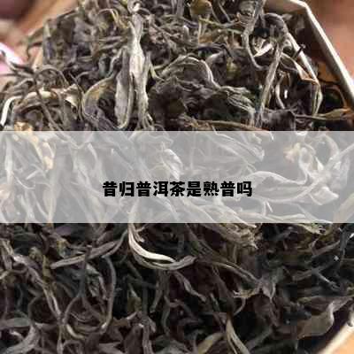 昔归普洱茶是熟普吗