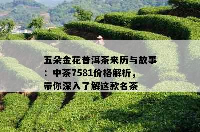 五朵金花普洱茶来历与故事：中茶7581价格解析，带你深入了解这款名茶