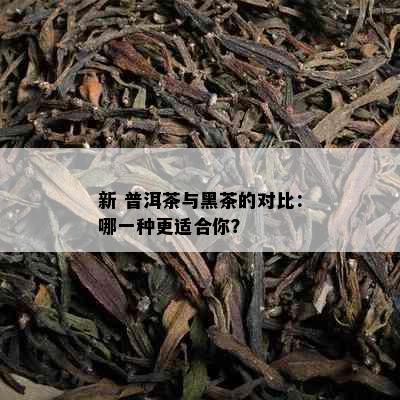 新 普洱茶与黑茶的对比：哪一种更适合你？