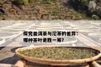 探究普洱茶与沱茶的差异：哪种茶叶更胜一筹？