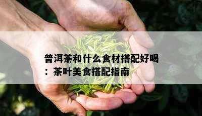 普洱茶和什么食材搭配好喝：茶叶美食搭配指南