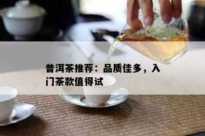 普洱茶推荐：品质佳多，入门茶款值得试