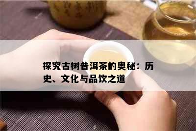 探究古树普洱茶的奥秘：历史、文化与品饮之道