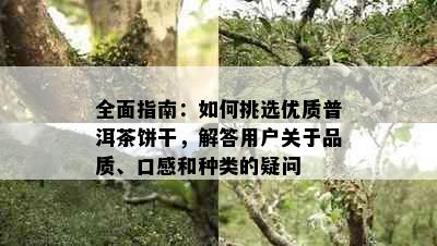 全面指南：如何挑选优质普洱茶饼干，解答用户关于品质、口感和种类的疑问