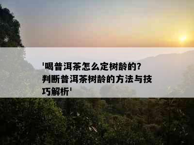 '喝普洱茶怎么定树龄的？判断普洱茶树龄的方法与技巧解析'