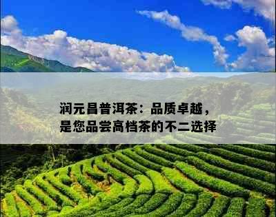 润元昌普洱茶：品质卓越，是您品尝高档茶的不二选择