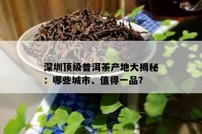 深圳顶级普洱茶产地大揭秘：哪些城市、值得一品？