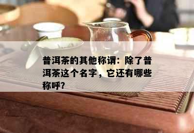 普洱茶的其他称谓：除了普洱茶这个名字，它还有哪些称呼？