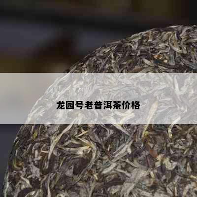 龙园号老普洱茶价格