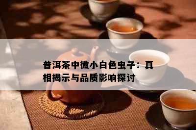 普洱茶中微小白色虫子：真相揭示与品质影响探讨