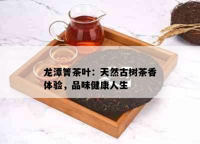 龙潭箐茶叶：天然古树茶香体验，品味健康人生